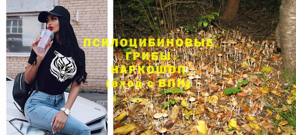 МДПВ Семёнов