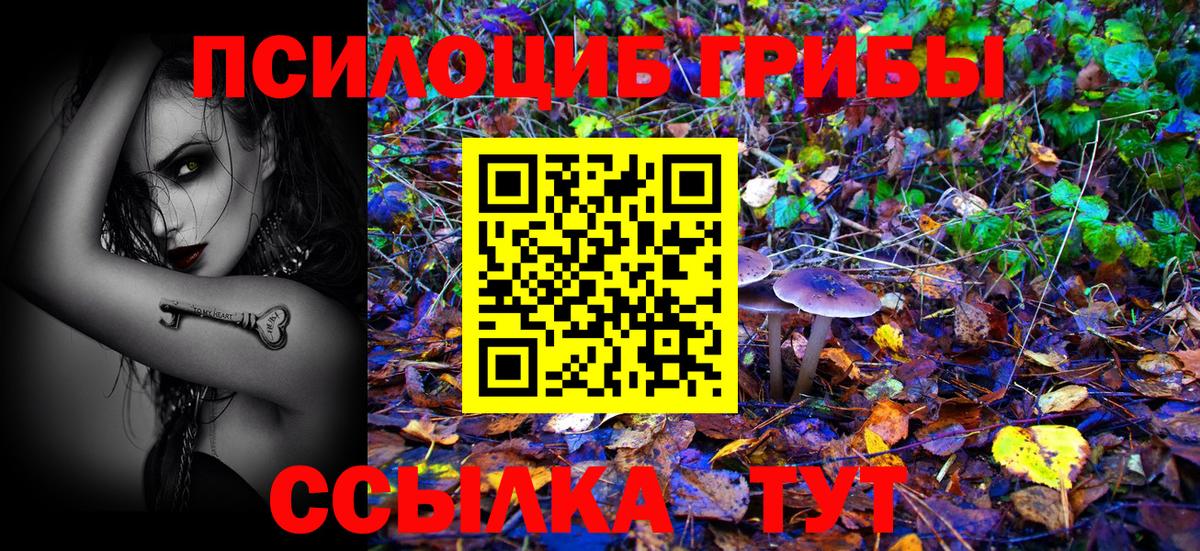 Галлюциногенные грибы Cubensis  наркотики  Вход с VPN  Клин  Галлюциногенные грибы Psilocybine cubensis 